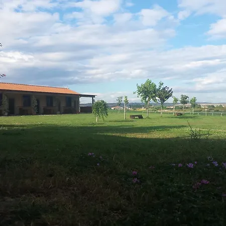Agriturismo San Matteo Tarquinia Zimmer foto
