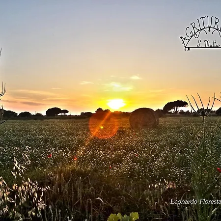 Agriturismo San Matteo Tarquinia Exterior foto