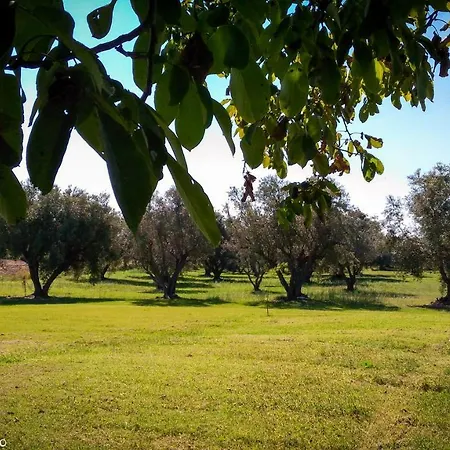 Agriturismo San Matteo Tarquinia Exterior foto