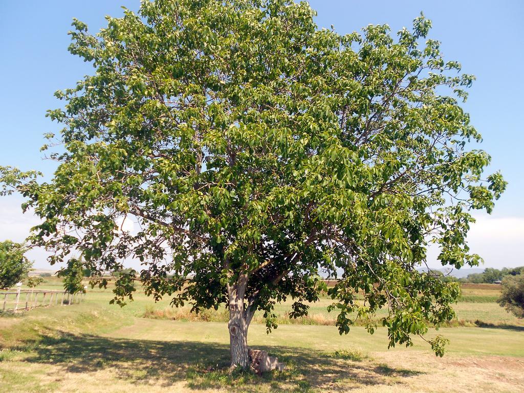 Bauernhof San Matteo