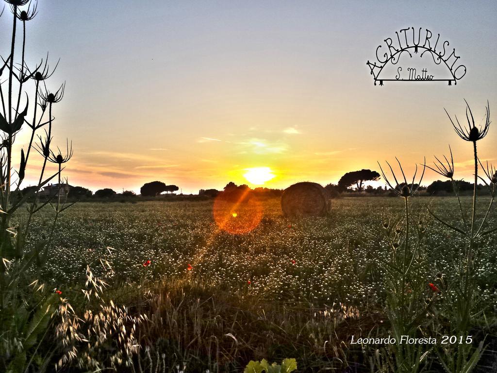 San Matteo * Tarquinia